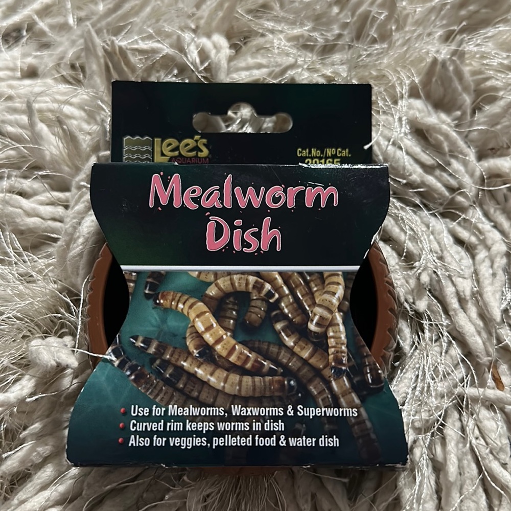 Meal worm dish